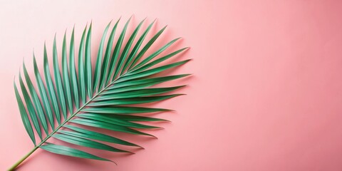 Fototapeta premium A single palm leaf rests on a light pink background, its green fronds radiating outwards, creating a vibrant contrast and a sense of tropical tranquility.