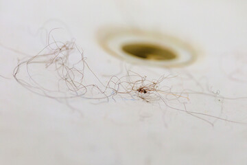 clumps of hair at the bottom of a white bathtub near the drain. aging and hair loss issues