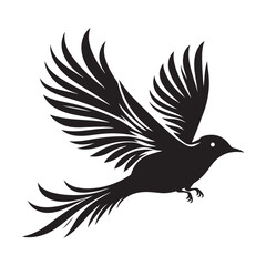 Bird in flight silhouette vector  black colour white background
