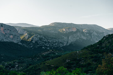 Fototapeta premium beautiful landscape of Supramonte Mountains with green hills, trees and mediterranean forest vegetation. Ogliastra, Sardinia, Italy.