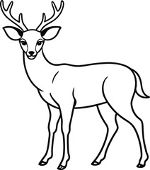deer illustration