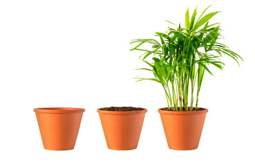 clay pot filled with organic potting soil