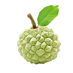 Fresh custard apple with green skin and a single leaf resting on top, showcasing its unique texture and shape against a transparent background