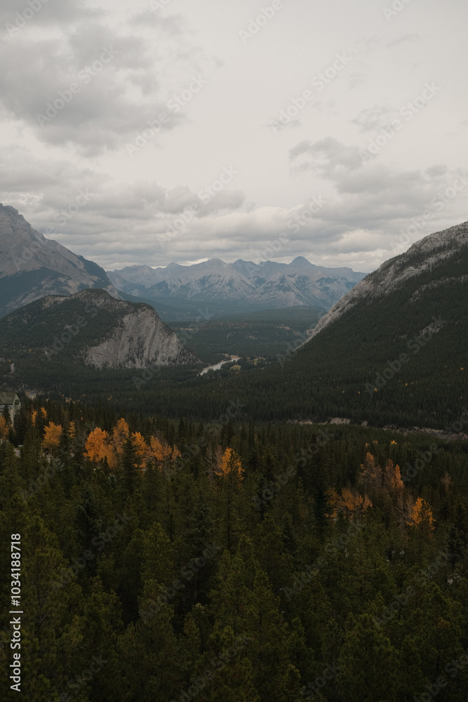 Wall mural banff in autumn