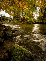 Flowing Stream In An Autumn Forest With Golden Leaves In Fürstenfeldbruck Bavaria, Germany: A Peaceful Path Amidst Nature's Colorful Fall Foliage And Serene Waters.