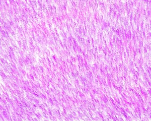 Иллюстрация без названия