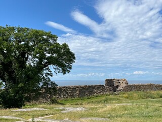 landscape with trees and clouds