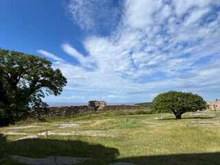 landscape with trees and clouds