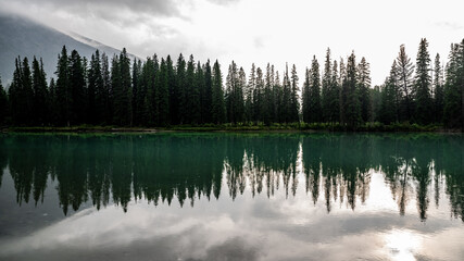 reflection of trees in water