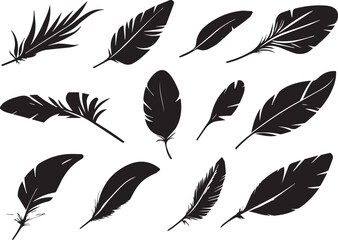Set of bird feathers on a white background, line art, feather silhouettes.