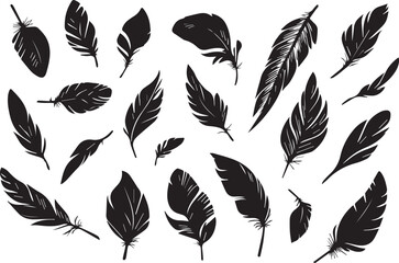 Set of bird feathers on a white background, line art, feather silhouettes.