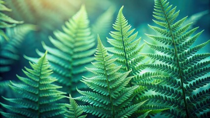 The delicate, intricate patterns of fern fronds bathed in a soft, ethereal light, creating a serene and captivating scene.