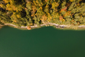 An overhead aerial shot of a forest in autumn, with vibrant shades of orange, yellow, and green foliage lining the edge of a calm lake. 