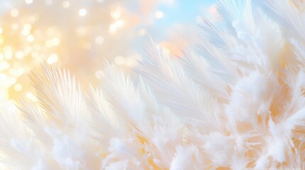 Delicate frost feathers against a dreamy winter background