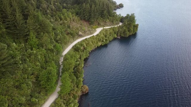 Camino, lago colico, Araucan&iacute;a, Chile