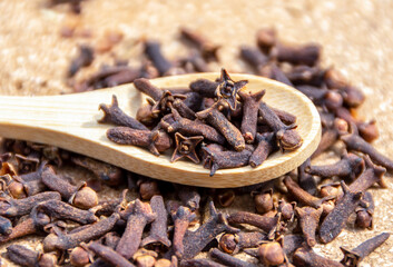 Dry clove spice on a wooden spoon close up. Spicy spice of cloves.  Dry spice cloves.