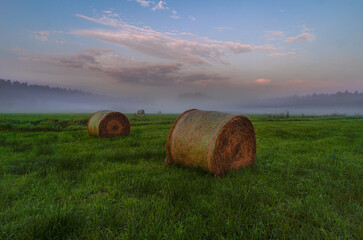 bale siana na polu © Marek
