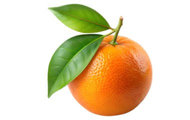 tangerine with leaves isolated