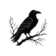 Silhouette raven animal full body black color only Enigmatic Raven on Skull Vector illustration 