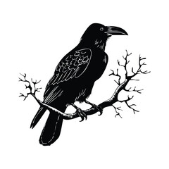Raven on Skull Silhouette Vector Logo in Black Color