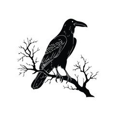 Enigmatic Raven Perched on Skull Vector Design