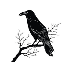 Silhouette of Raven on Skull Vector Logo in Black