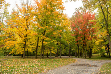 Naklejka premium Le lac des castors pendant l'automne à Montreal au Canada