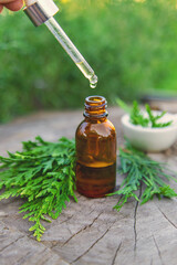 Juniper extract in a bottle. Selective focus.