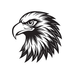 eagle head silhouette vector, black and white silhouette, vector and illustration, black and white