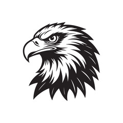 eagle head silhouette vector, black and white silhouette, vector and illustration, black and white