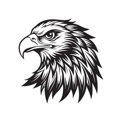 eagle head silhouette vector, black and white silhouette, vector and illustration, black and white