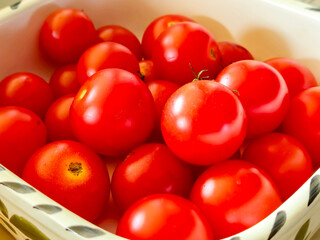 Vibrant red tomatoes arranged in a bowl, showcasing their freshness and natural shine, perfect for culinary and food photography.