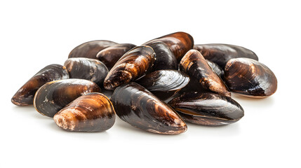 Shellless Mussels on White Surface, A close-up view of a pile of fresh shellless mussels, highlighting their unique texture and color.