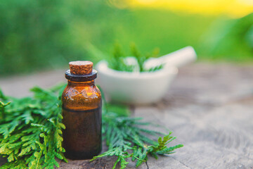 Juniper extract in a bottle. Selective focus.