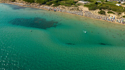 Aerial view of Pescoluse beach in Salento, Puglia, Italy. This beach is also called the Maldives of Salento. There are many umbrellas on the beach and tourists at the sea.