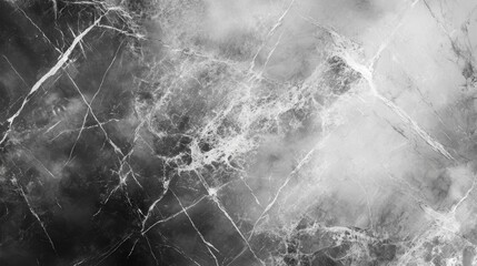 Monochrome Marble Surface with Intricate Veins and Patterns