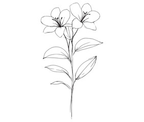 Tree with flowers. Lily flower tree outline vector