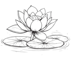 Lotus flower vector. Outline of a beautiful flower. Cartoon lotus flower, 