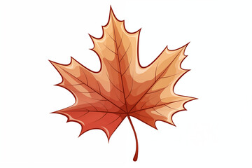 Fototapeta premium A vector hand drawn maple leaf isolated on transparent background