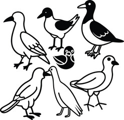 set of birds
