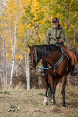woman riding bay quarter horse through aspen trees in mountain forest 