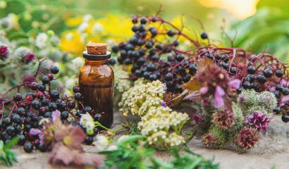 Flower and herbal extract in a bottle. Selective focus.