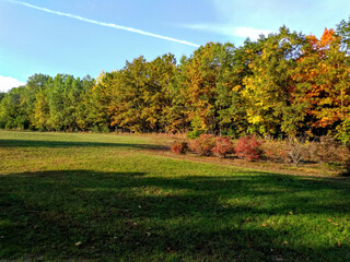 Fall Colors in Michigan