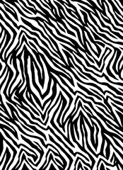 Zebra pattern, abstract, new, innovation, design