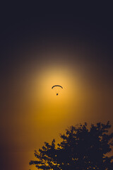 Glider in the sunset