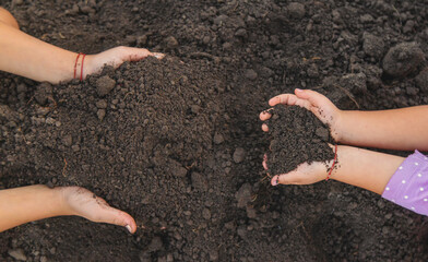 A child holds soil in his hands. Selective focus.