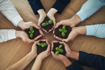 Team, hands and business people with leaf in soil for unity, collaboration and support in company...