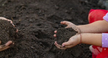 Child holding soil and plant in hands. Selective focus.