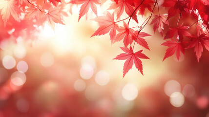 Fototapeta premium Copy space with autumn red leaves