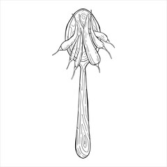 a wooden spoon with hot peppers. doodle peppers